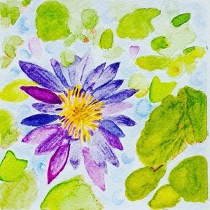 Meet your Posher, Cynthia